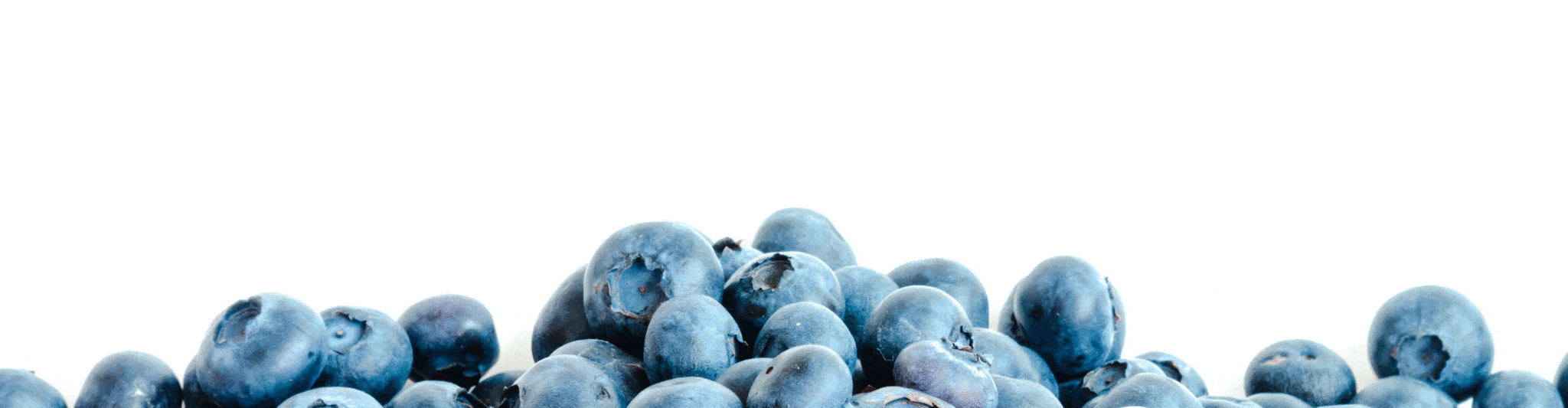 Fluorescence of Anthocyanins in Blueberries Avantes